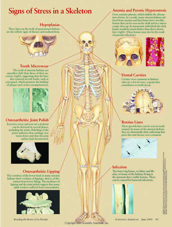 ScientificAmerican-LaFlorida4